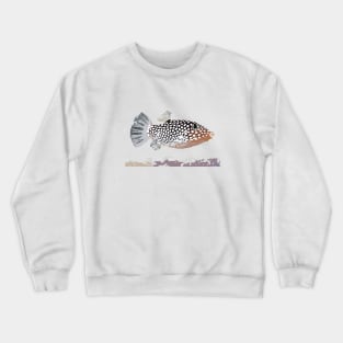 Hawaiian whitespotted Toby Crewneck Sweatshirt